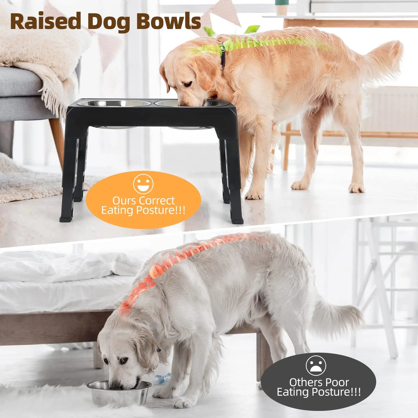 Elevated Dog Feeder Bowls