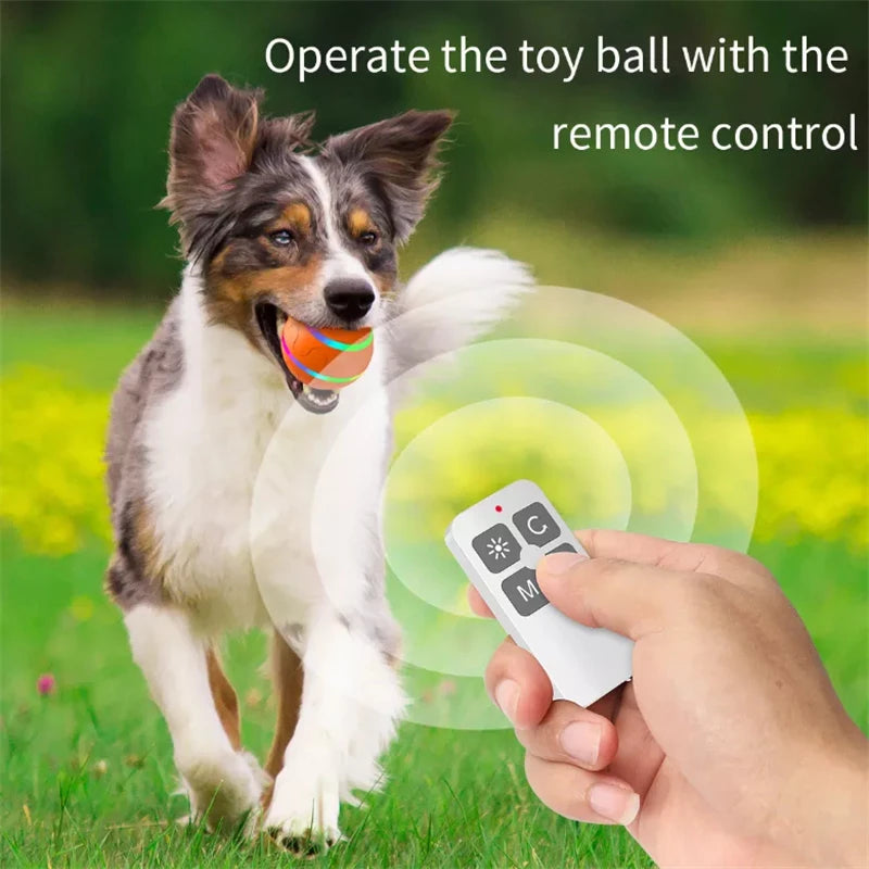 Smart Interactive Pet Ball Remote Control