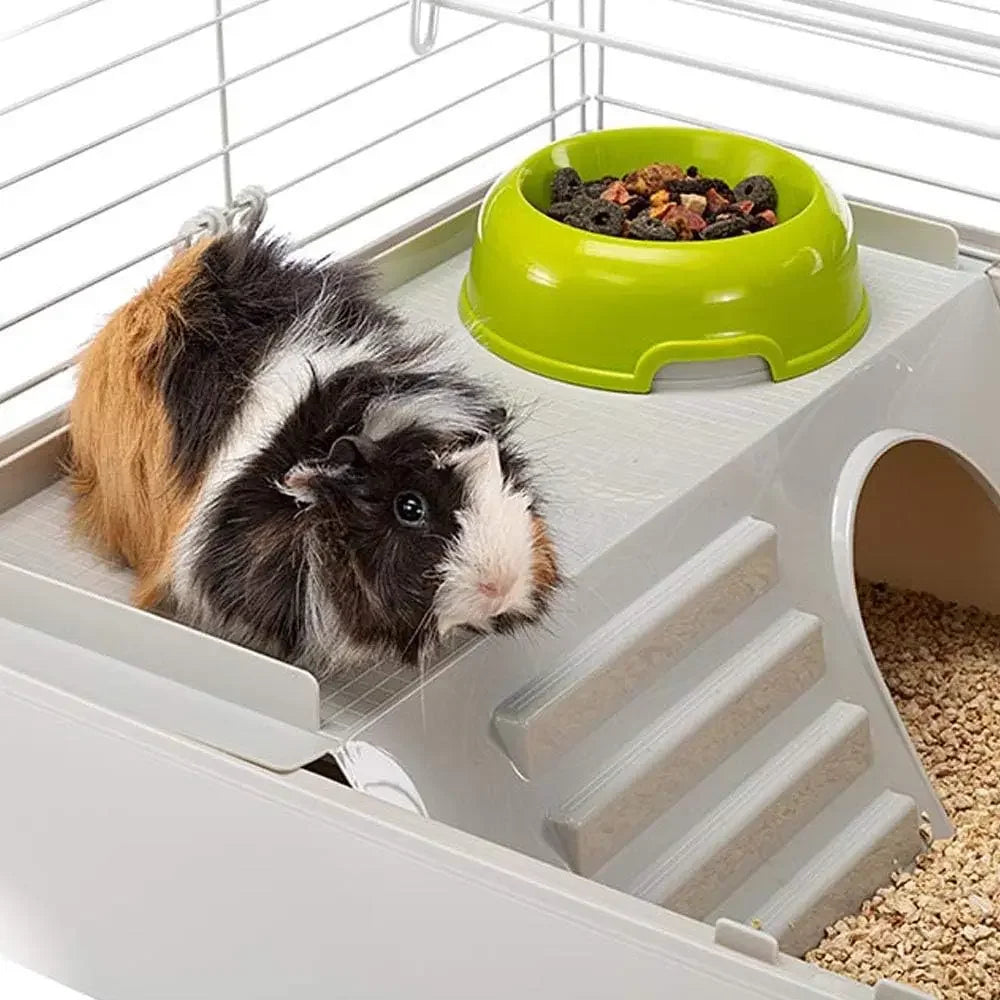 | Pet Cage includes ALL Accessories