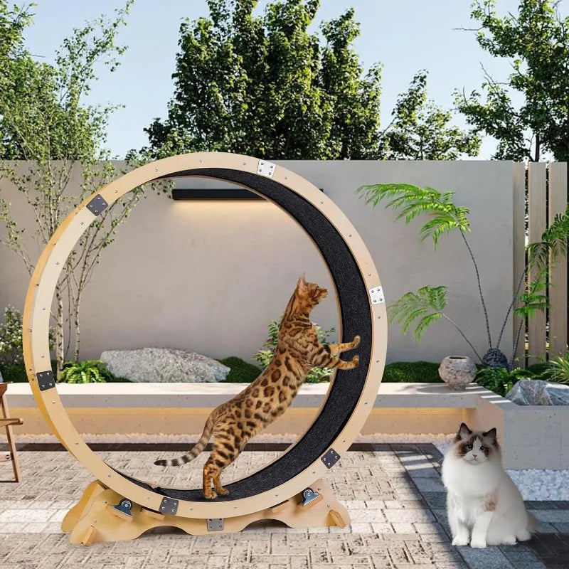 43“Cat Wheel Exerciser for Indoor pets