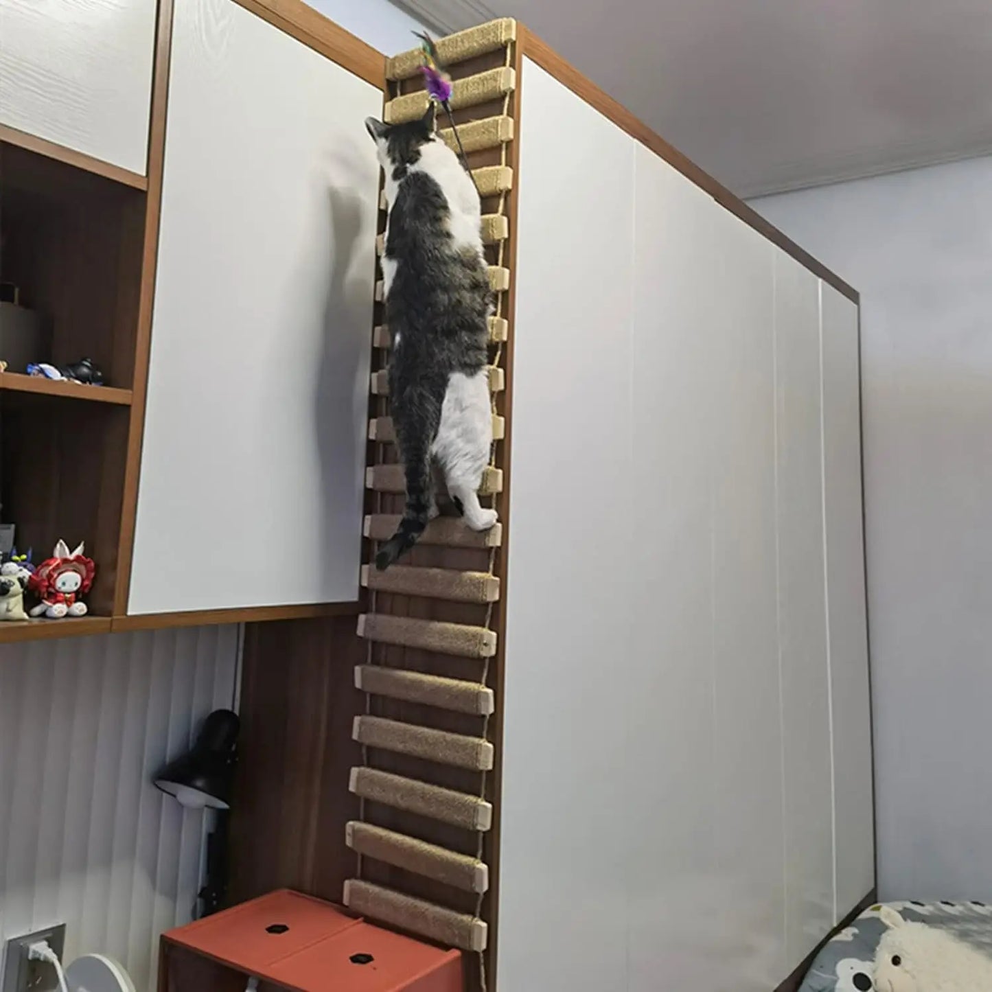 Cat Bridge Climbing Frame