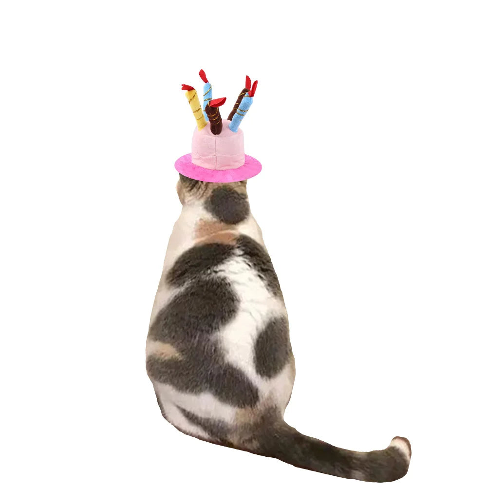 Dog Cat Birthday Hat cake cap candle design