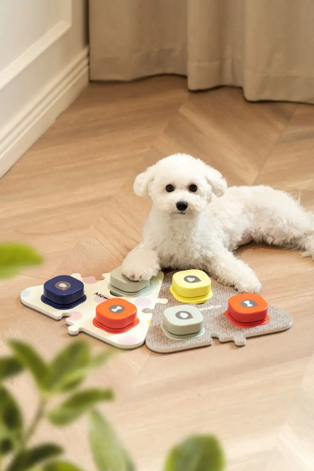 Talking Buttons with Mat for Dogs