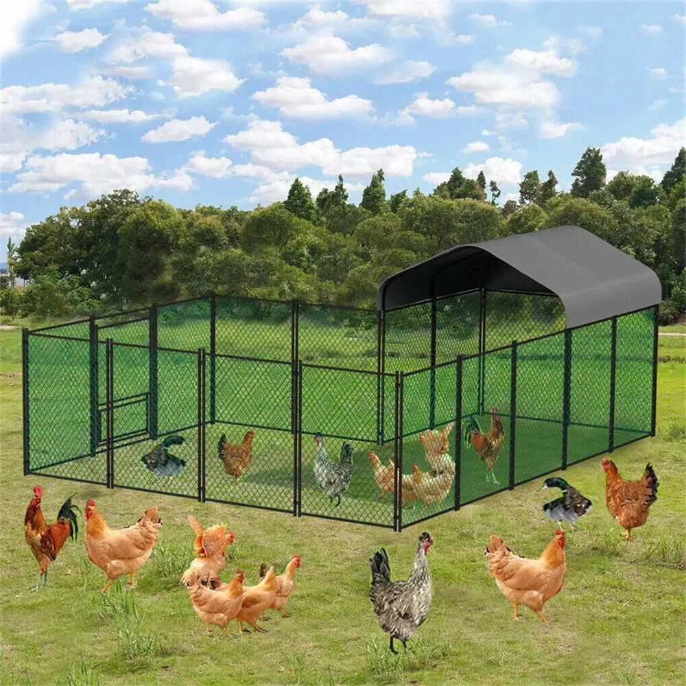 Heavy Duty Chicken Run Coop