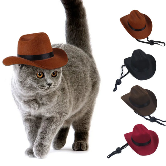 Cat Cowboy Hat Headgear