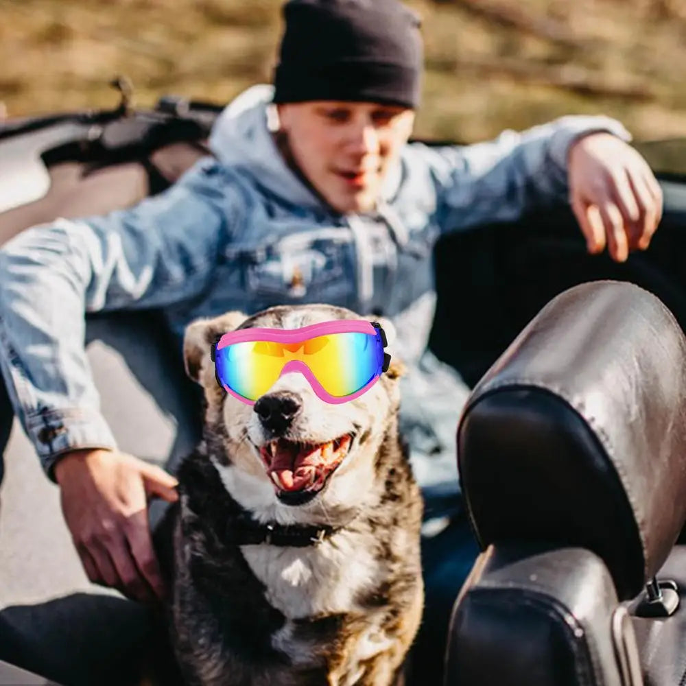 Eye Wear Dog Sunglasses