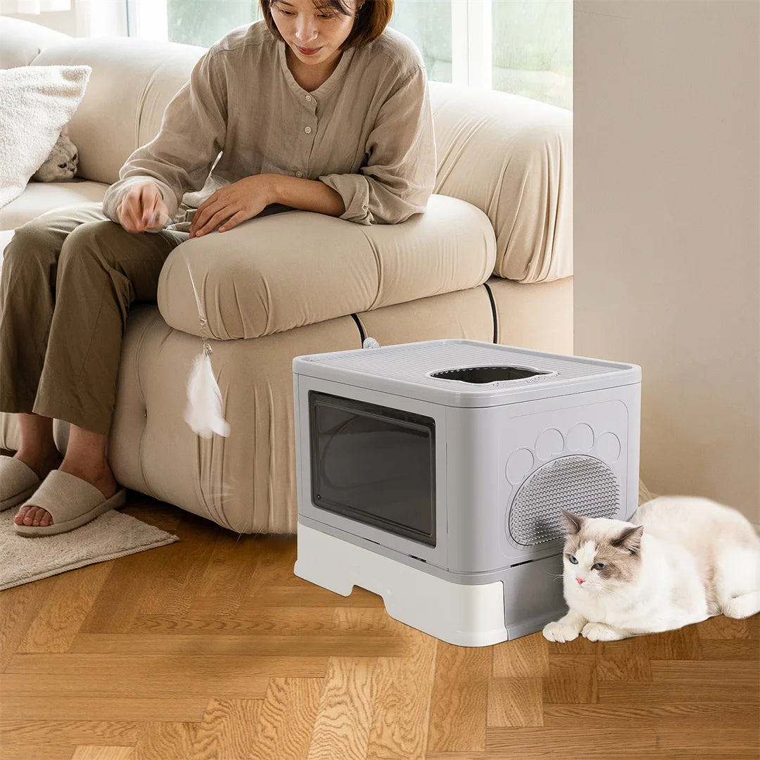 Modern Cat Litter Box Enclosure