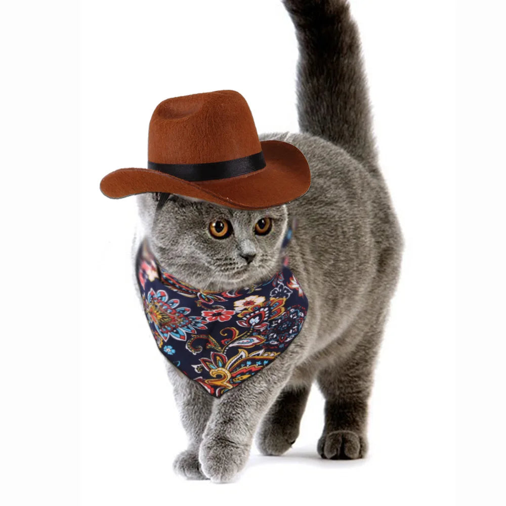 Cat Cowboy Hat Headgear