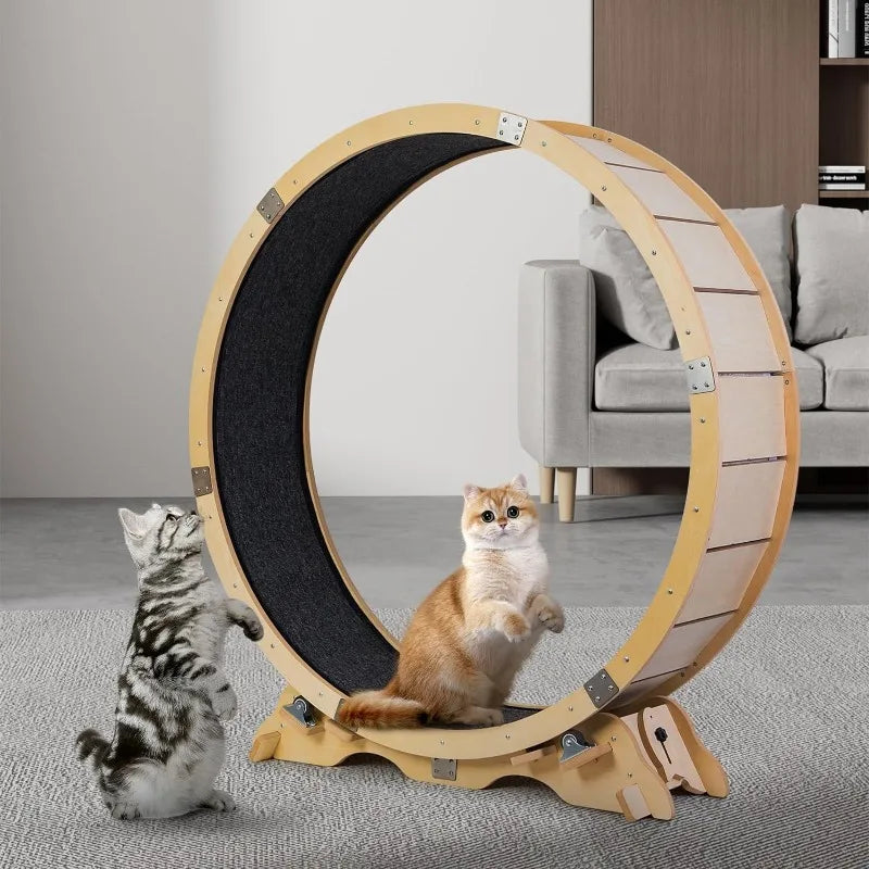 43“Cat Wheel Exerciser for Indoor pets