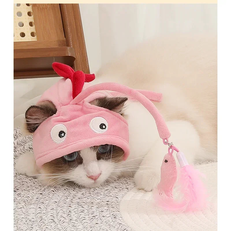 Cat Toys Supplies Accessories