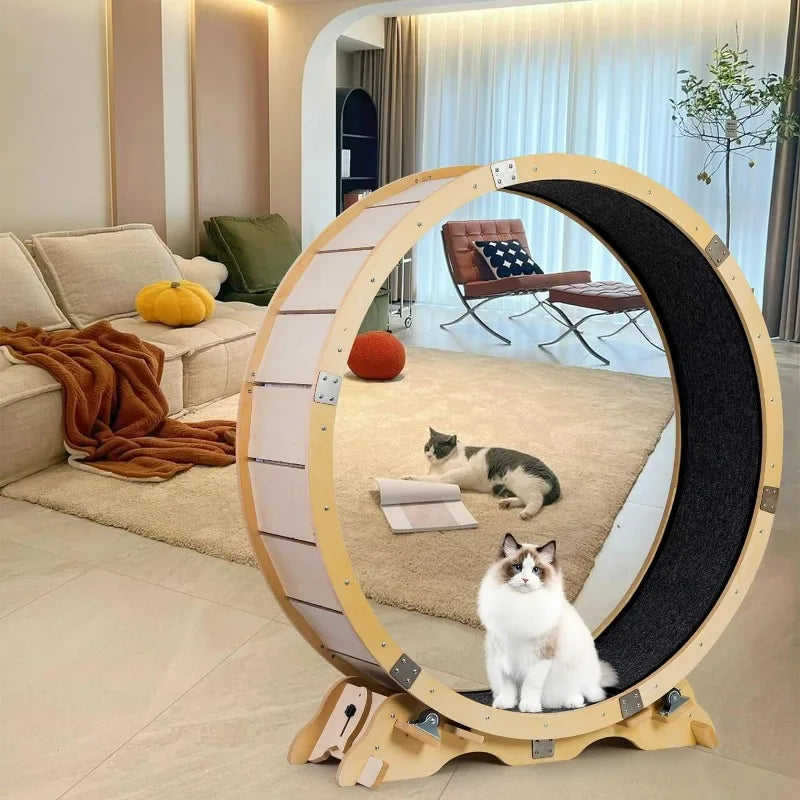 43“Cat Wheel Exerciser for Indoor pets