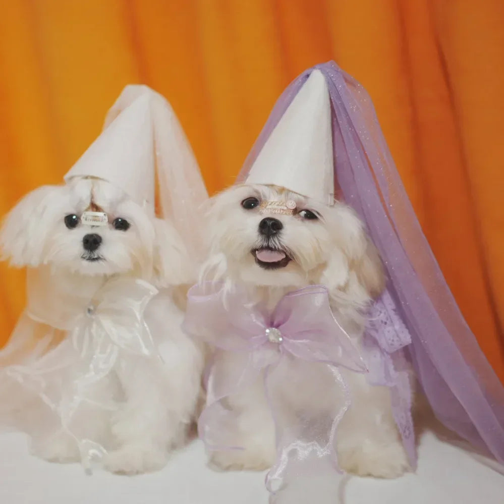 Birthday Party Dog Accessories Hat