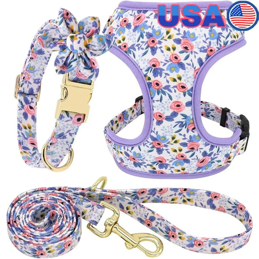 Dog Harness, Leash and Collar Set