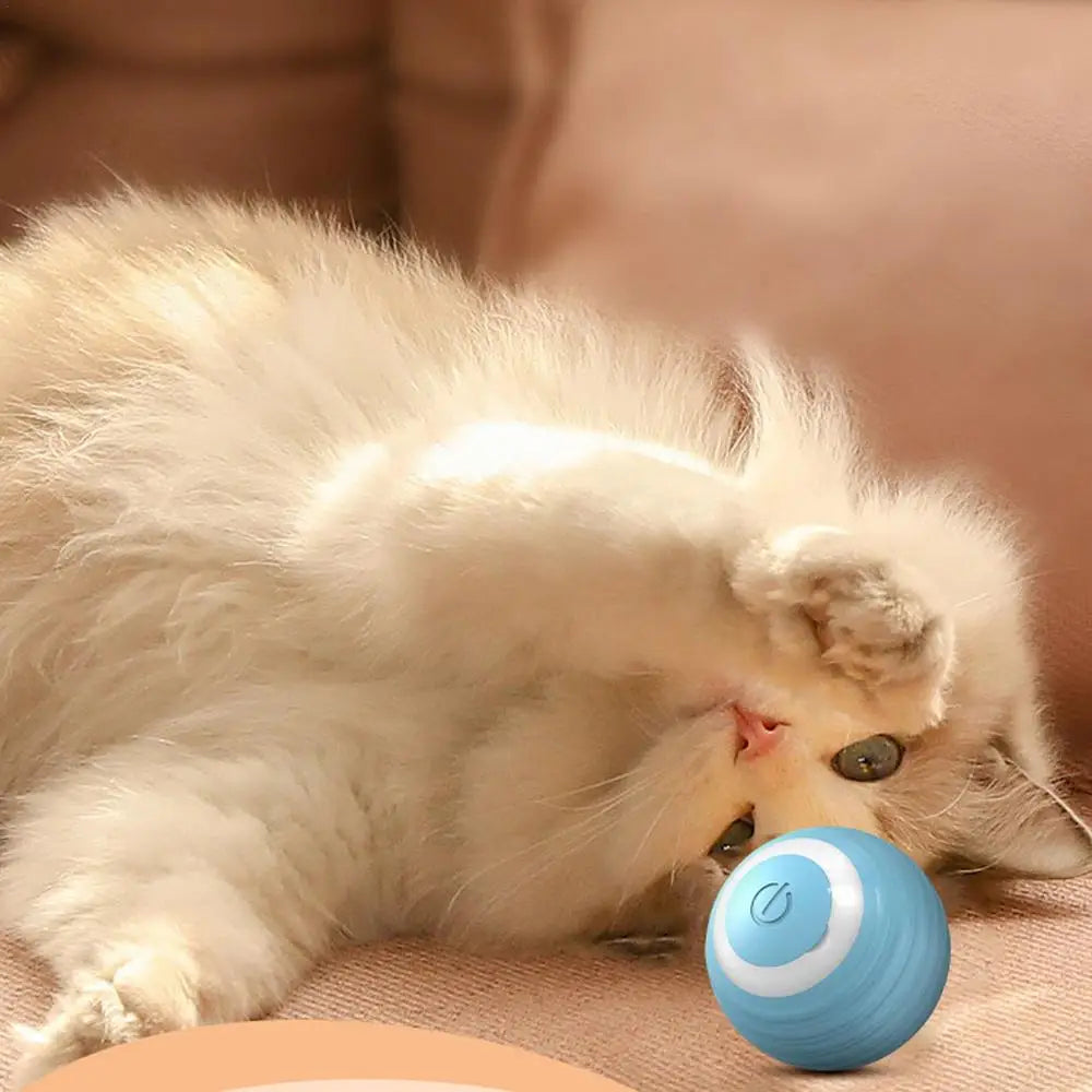 Smart Interactive Cat Toy Automatic 360 Self-Rotating Ball