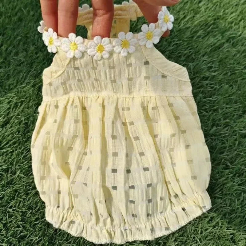 Pet Daisy Dress Clothing
